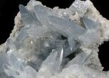 Celestine (Celestite) Geode - Large, Top Quality Crystals #37092-1